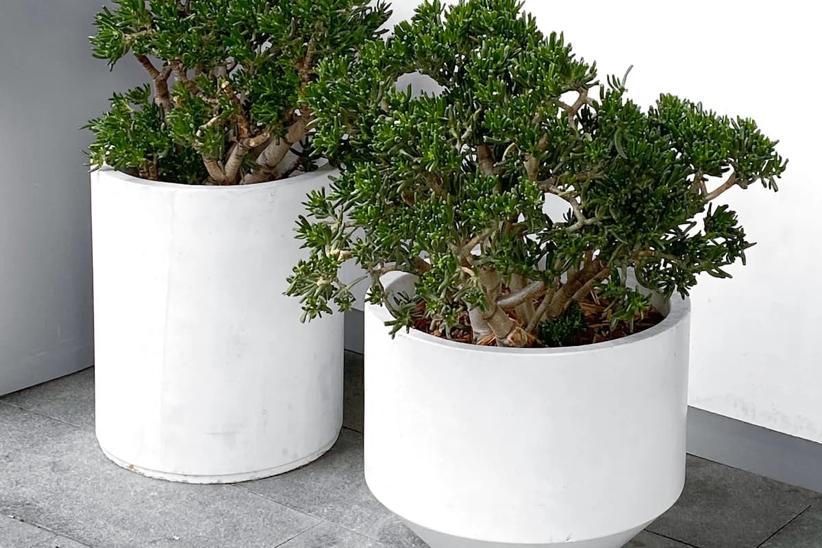 Marrakech Pendant le Ramadan : Guide Sorties & Restaurants